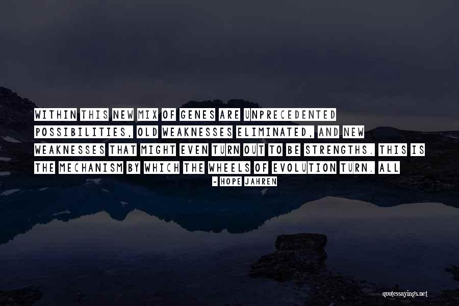 Safer Decisions Quotes By Hope Jahren Safer Decisions Quotes By Hope Jahren