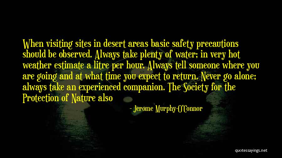 Safety And Protection Quotes By Jerome Murphy-O'Connor Safety And Protection Quotes By Jerome Murphy-O'Connor