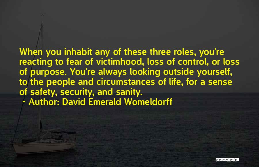 Safety And Security Quotes By David Emerald Womeldorff