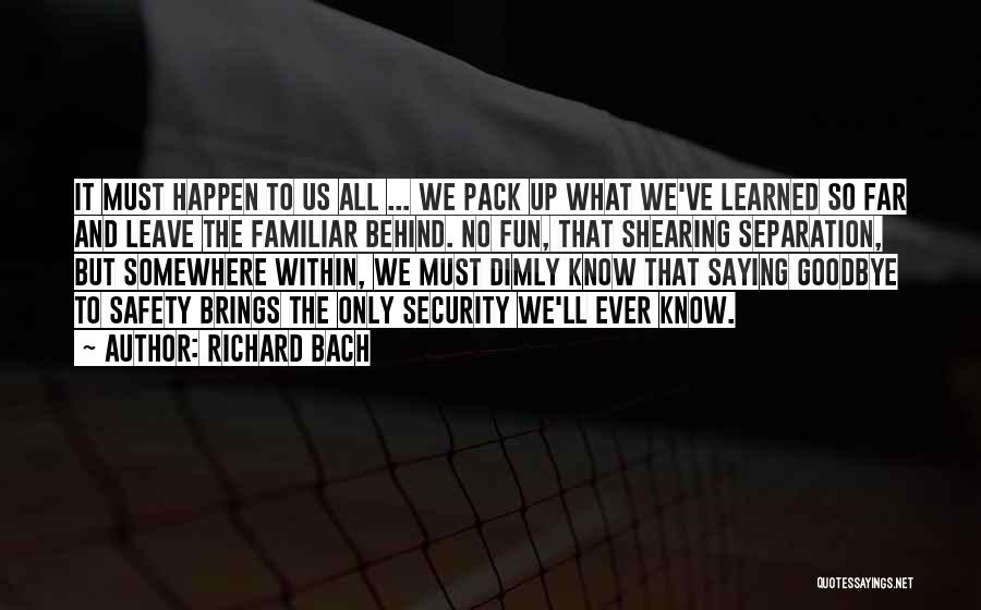 Safety And Security Quotes By Richard Bach