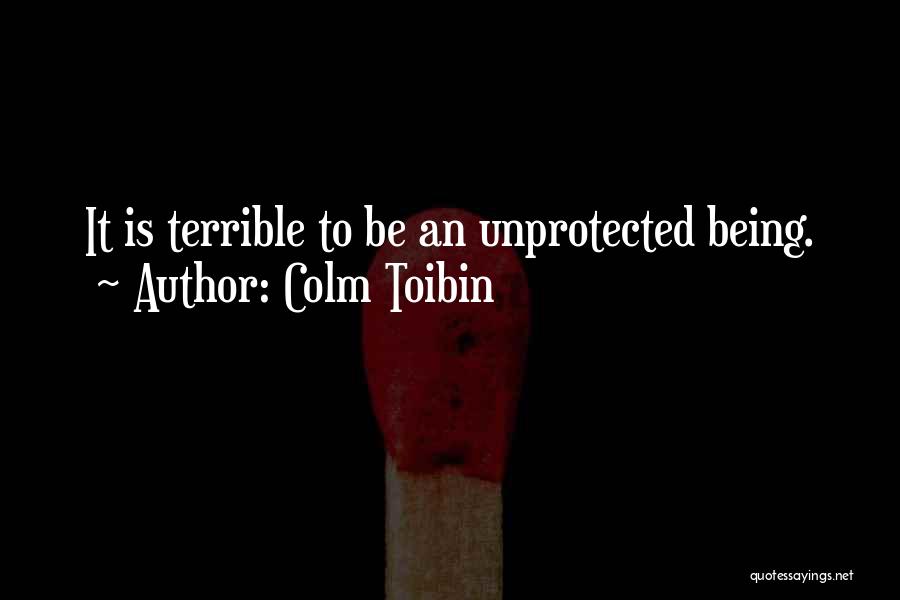 Safety And Self Protection Quotes By Colm Toibin