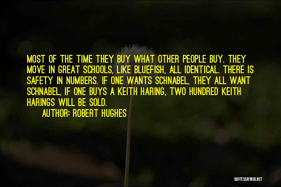 Safety In Schools Quotes By Robert Hughes