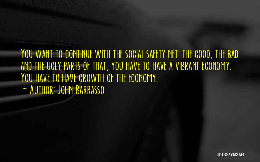 Safety Net Quotes By John Barrasso