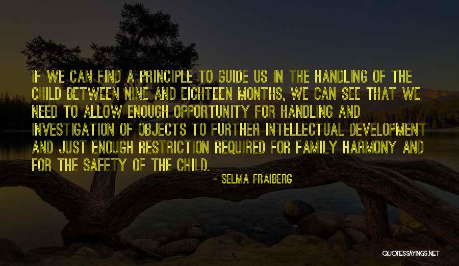 Safety Of Objects Quotes By Selma Fraiberg Safety Of Objects Quotes By Selma Fraiberg