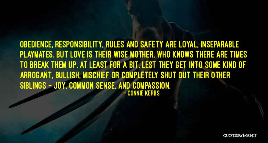 Safety Rules Quotes By Connie Kerbs Safety Rules Quotes By Connie Kerbs
