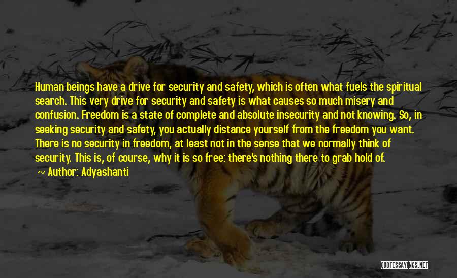 Safety Vs Freedom Quotes By Adyashanti