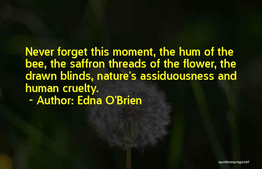 Saffron Quotes By Edna O'Brien