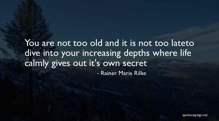 Saffron Terror Quotes By Rainer Maria Rilke Saffron Terror Quotes By Rainer Maria Rilke