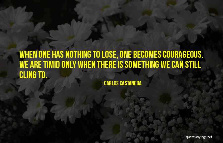 Saffy Blue Quotes By Carlos Castaneda Saffy Blue Quotes By Carlos Castaneda