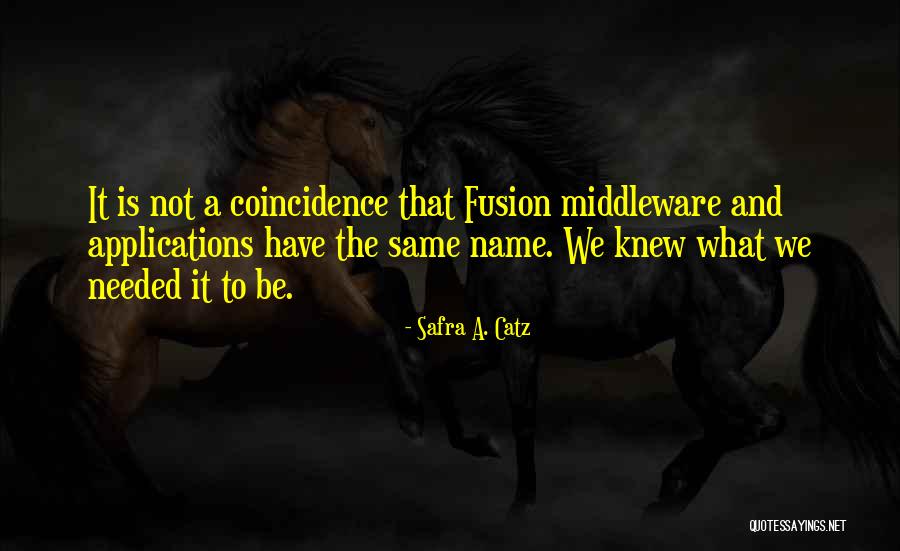 Safra Catz Quotes By Safra A. Catz Safra Catz Quotes By Safra A. Catz