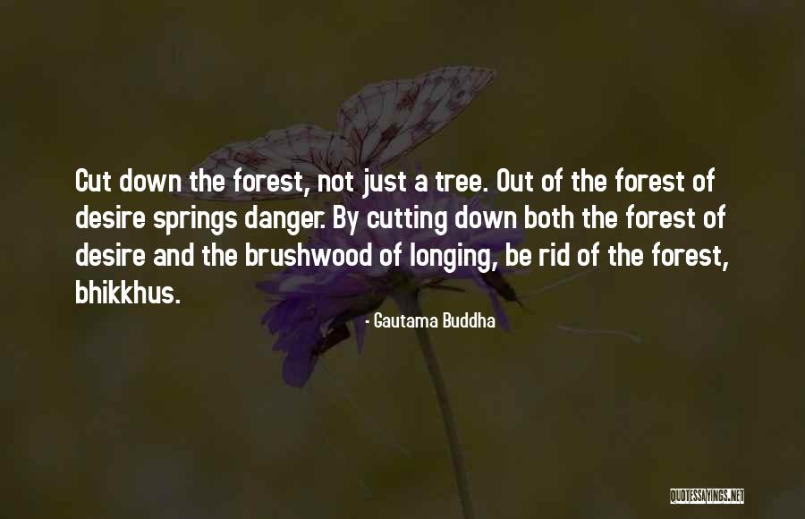 Sagace Significato Quotes By Gautama Buddha Sagace Significato Quotes By Gautama Buddha