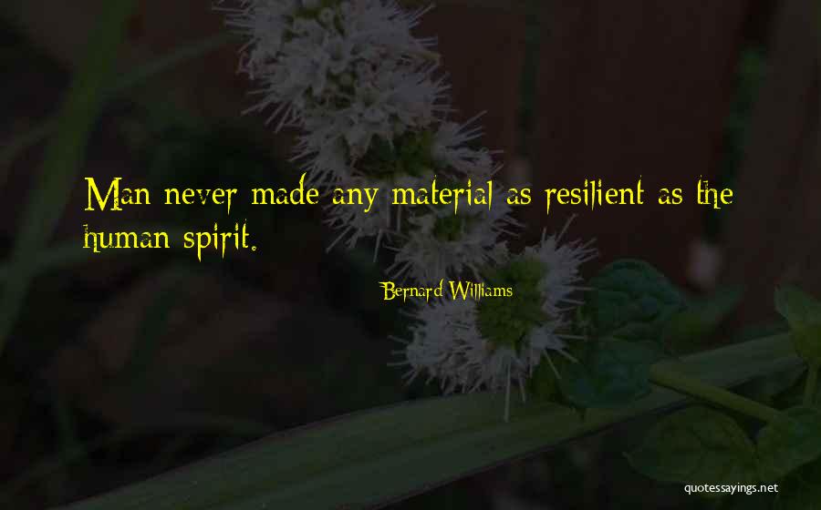Sagace Sinonim Quotes By Bernard Williams Sagace Sinonim Quotes By Bernard Williams