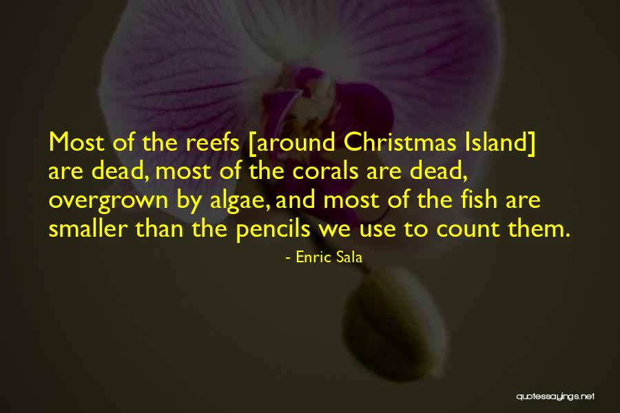 Sagacidad Significado Quotes By Enric Sala Sagacidad Significado Quotes By Enric Sala