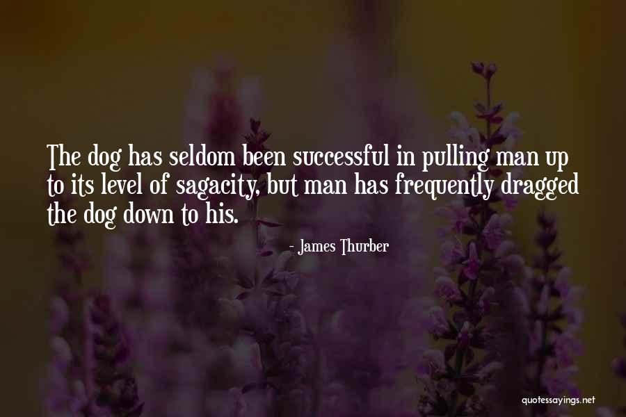 Sagacity Quotes By James Thurber Sagacity Quotes By James Thurber
