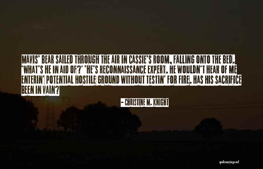 Sagawa Chuyen Quotes By Christine M. Knight Sagawa Chuyen Quotes By Christine M. Knight