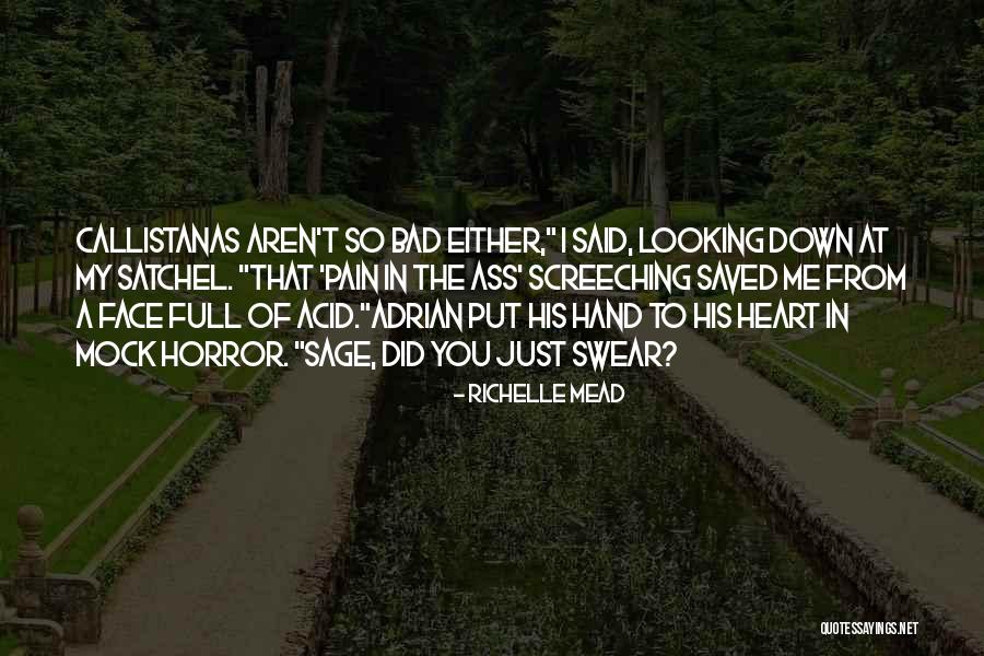 Sage My Quotes By Richelle Mead Sage My Quotes By Richelle Mead