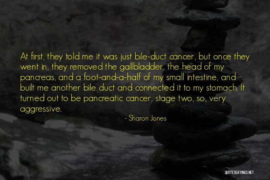 Sagehorn Lutheran Quotes By Sharon Jones Sagehorn Lutheran Quotes By Sharon Jones