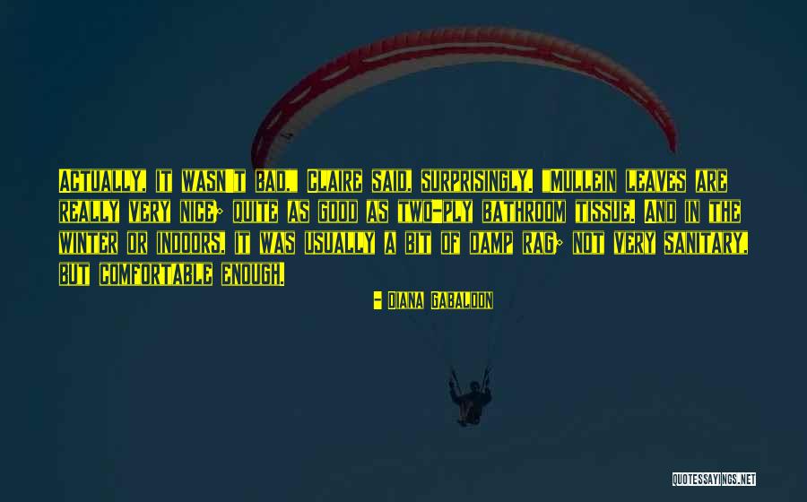 Sagginario Zena Quotes By Diana Gabaldon Sagginario Zena Quotes By Diana Gabaldon