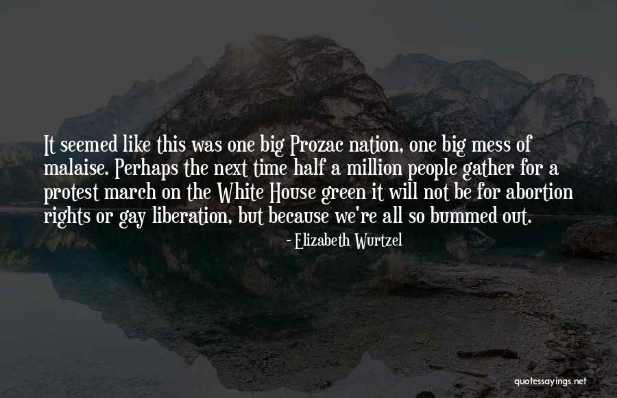 Saghirat Quotes By Elizabeth Wurtzel Saghirat Quotes By Elizabeth Wurtzel