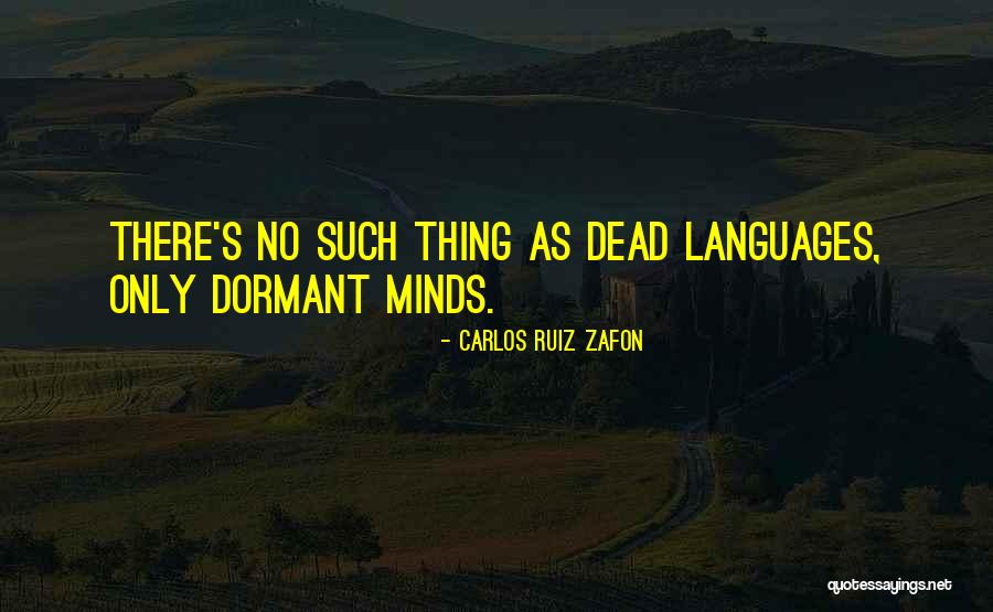 Sagie Naidoo Quotes By Carlos Ruiz Zafon Sagie Naidoo Quotes By Carlos Ruiz Zafon