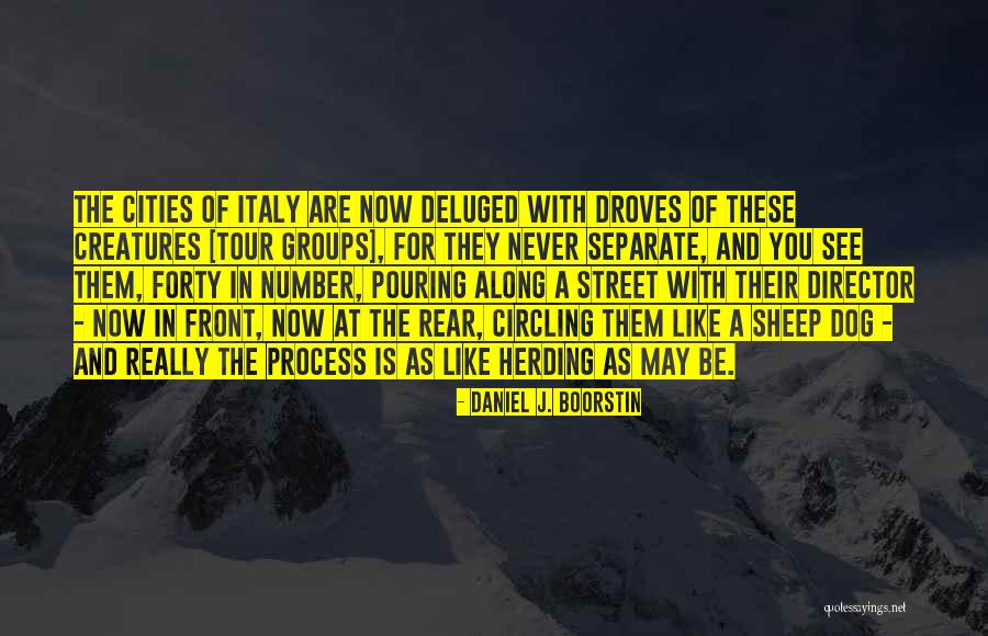 Sagnelli Dawson Quotes By Daniel J. Boorstin Sagnelli Dawson Quotes By Daniel J. Boorstin
