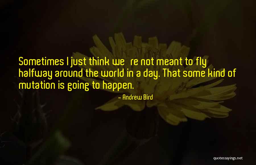 Sagoma Rondine Quotes By Andrew Bird Sagoma Rondine Quotes By Andrew Bird