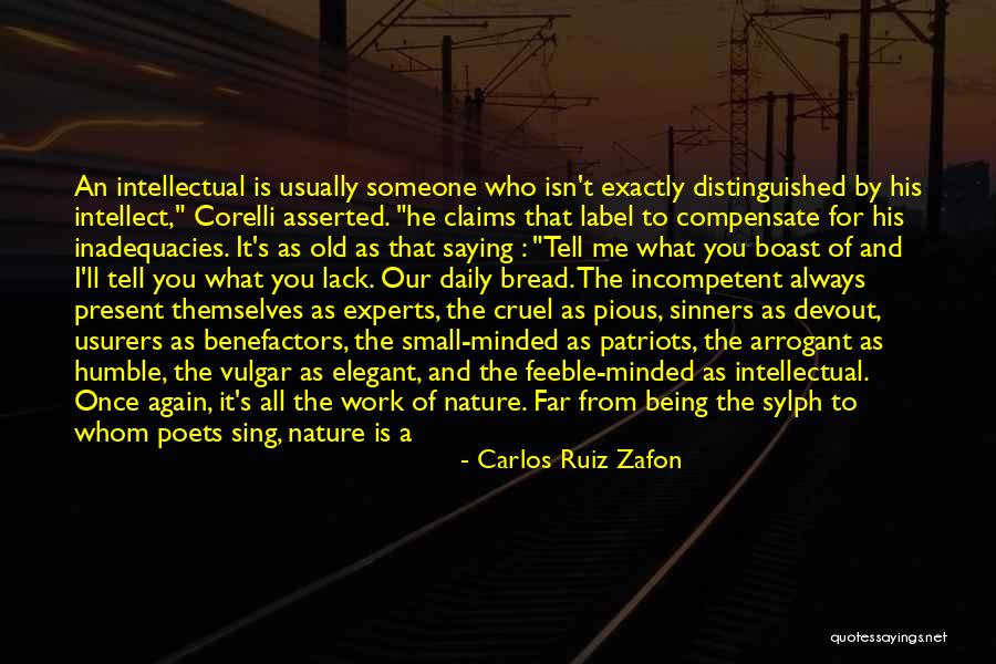 Sahabe Ne Quotes By Carlos Ruiz Zafon