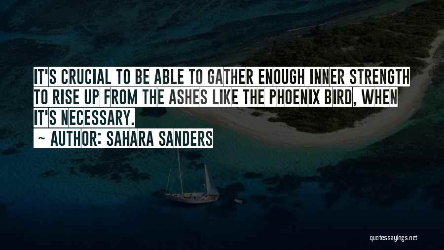 Sahara Sanders Quotes 470824