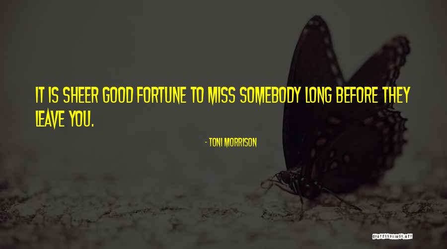 Sahithi Reddy Quotes By Toni Morrison Sahithi Reddy Quotes By Toni Morrison