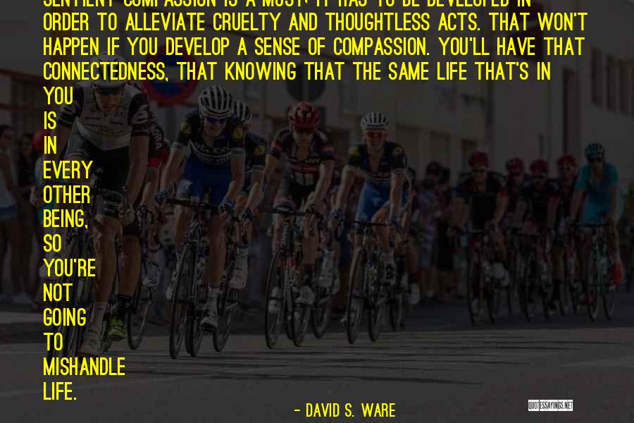 Sahnaz Tasnifi Quotes By David S. Ware Sahnaz Tasnifi Quotes By David S. Ware