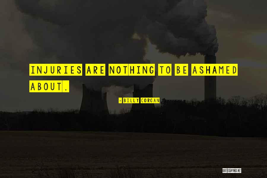 Sai Kripa Quotes By Billy Corgan