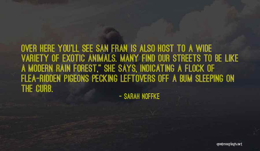 Sai Kripa Quotes By Sarah Noffke Sai Kripa Quotes By Sarah Noffke
