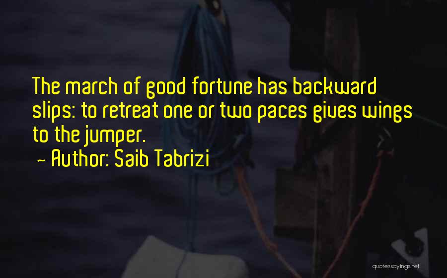 Saib Tabrizi Quotes 1240372