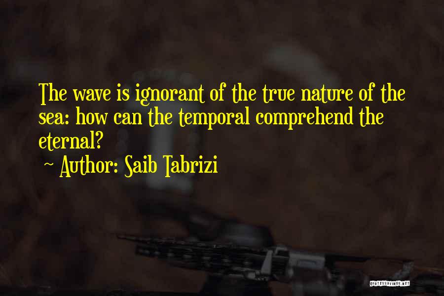 Saib Tabrizi Quotes 1342194