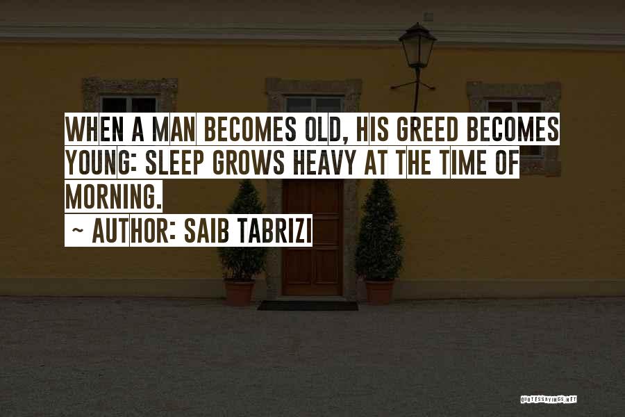 Saib Tabrizi Quotes 1891183