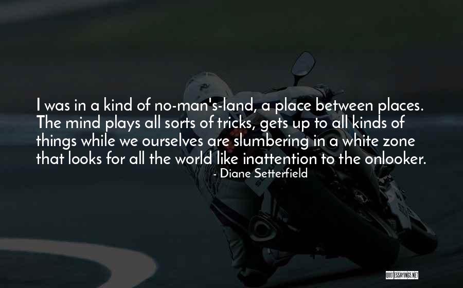 Saibee Dee Quotes By Diane Setterfield Saibee Dee Quotes By Diane Setterfield