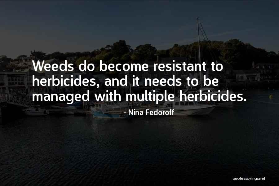 Said Womens Ncaa Quotes By Nina Fedoroff Said Womens Ncaa Quotes By Nina Fedoroff