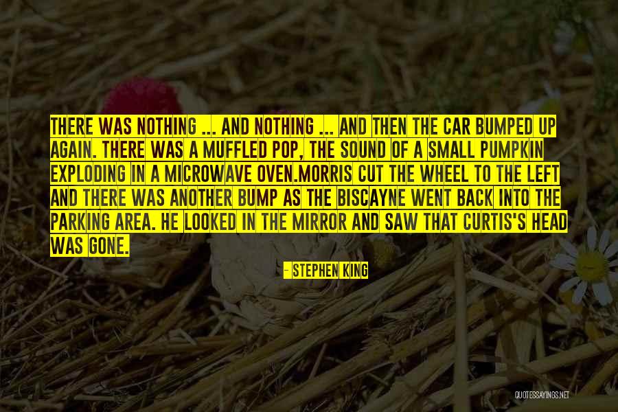 Saidel Brito Quotes By Stephen King Saidel Brito Quotes By Stephen King