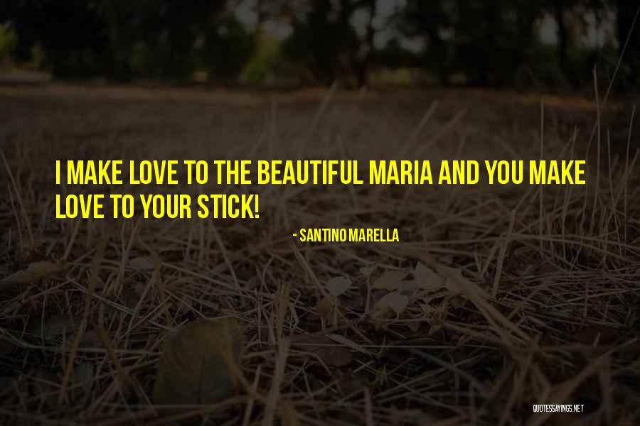 Saidel Engineering Quotes By Santino Marella Saidel Engineering Quotes By Santino Marella