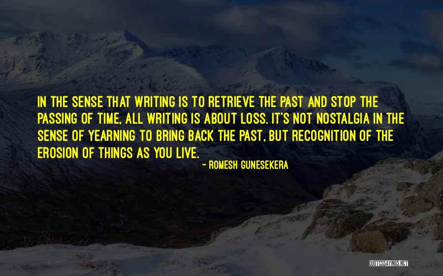 Saidou Abacha Quotes By Romesh Gunesekera Saidou Abacha Quotes By Romesh Gunesekera