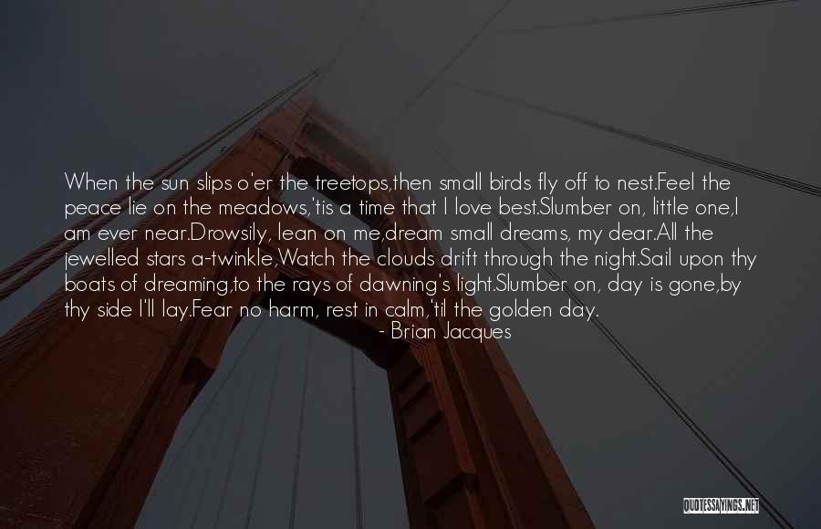 Sail Boats Quotes By Brian Jacques