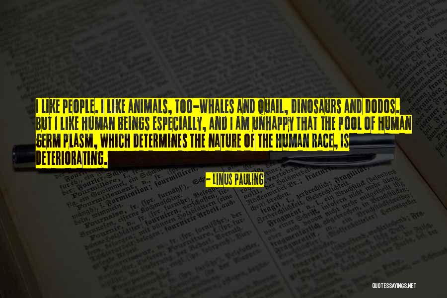 Sailendra Dynasty Quotes By Linus Pauling Sailendra Dynasty Quotes By Linus Pauling