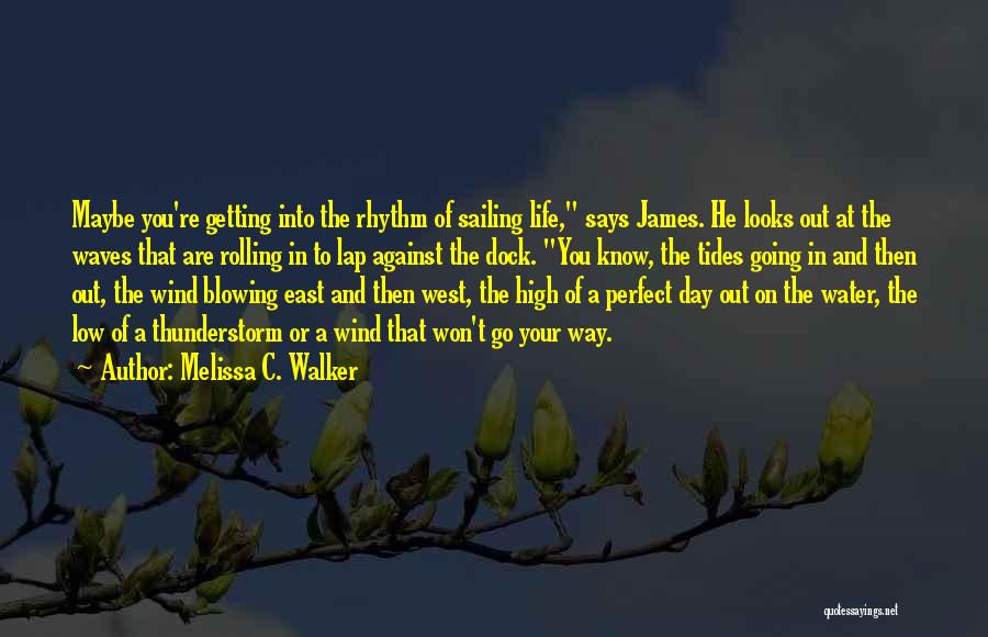 Sailing Against The Wind Quotes By Melissa C. Walker
