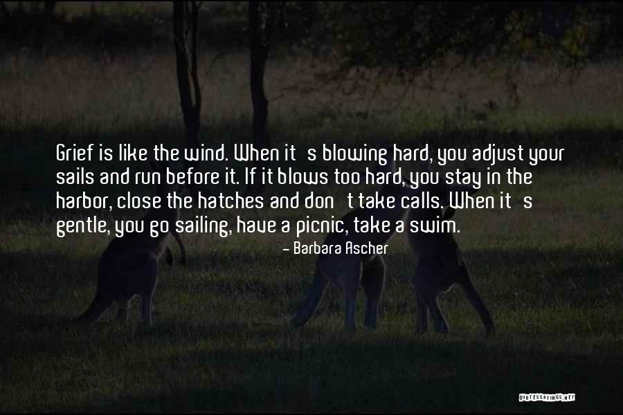 Sailing And Wind Quotes By Barbara Ascher Sailing And Wind Quotes By Barbara Ascher