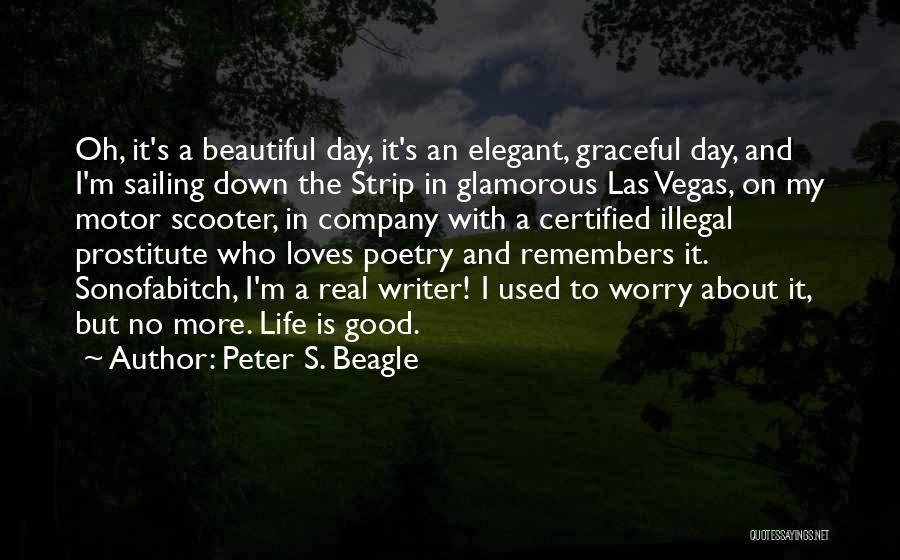 Sailing Life Quotes By Peter S. Beagle