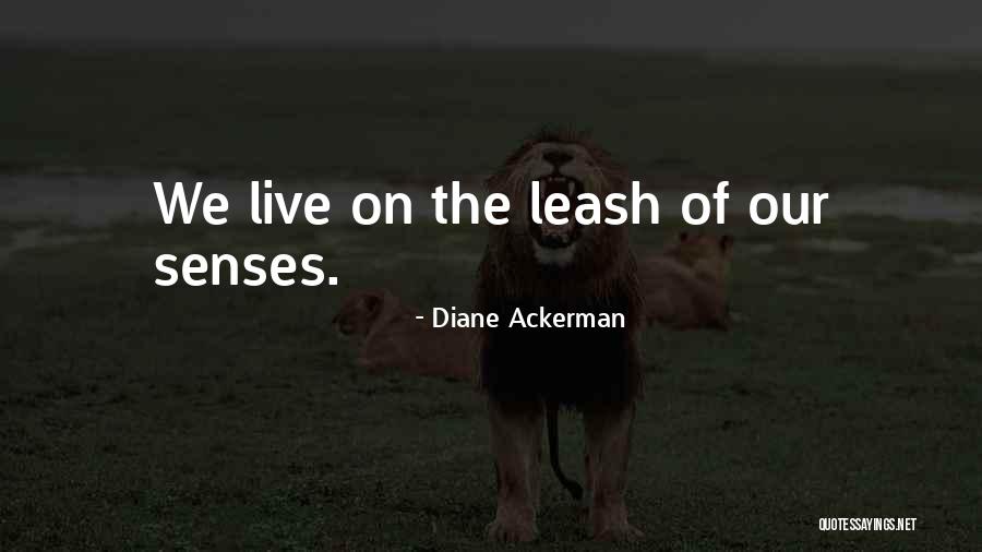 Sailor Boys Quotes By Diane Ackerman Sailor Boys Quotes By Diane Ackerman