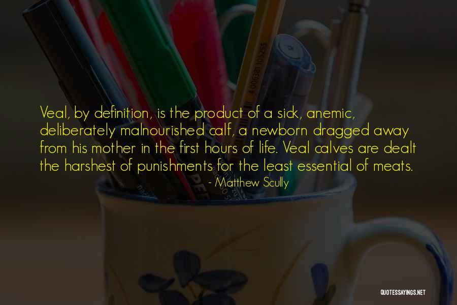 Saindon Roofing Quotes By Matthew Scully Saindon Roofing Quotes By Matthew Scully