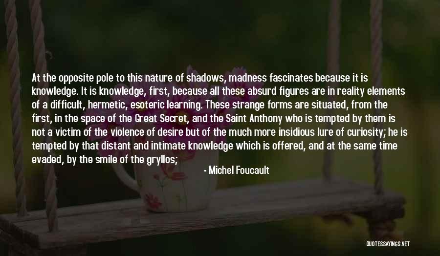 Saint Anthony Quotes By Michel Foucault