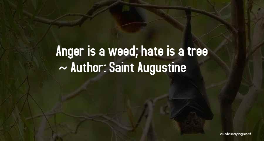 Saint Augustine Quotes 1088195