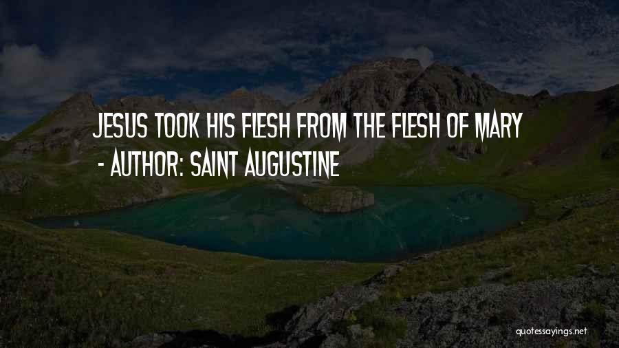 Saint Augustine Quotes 1687769